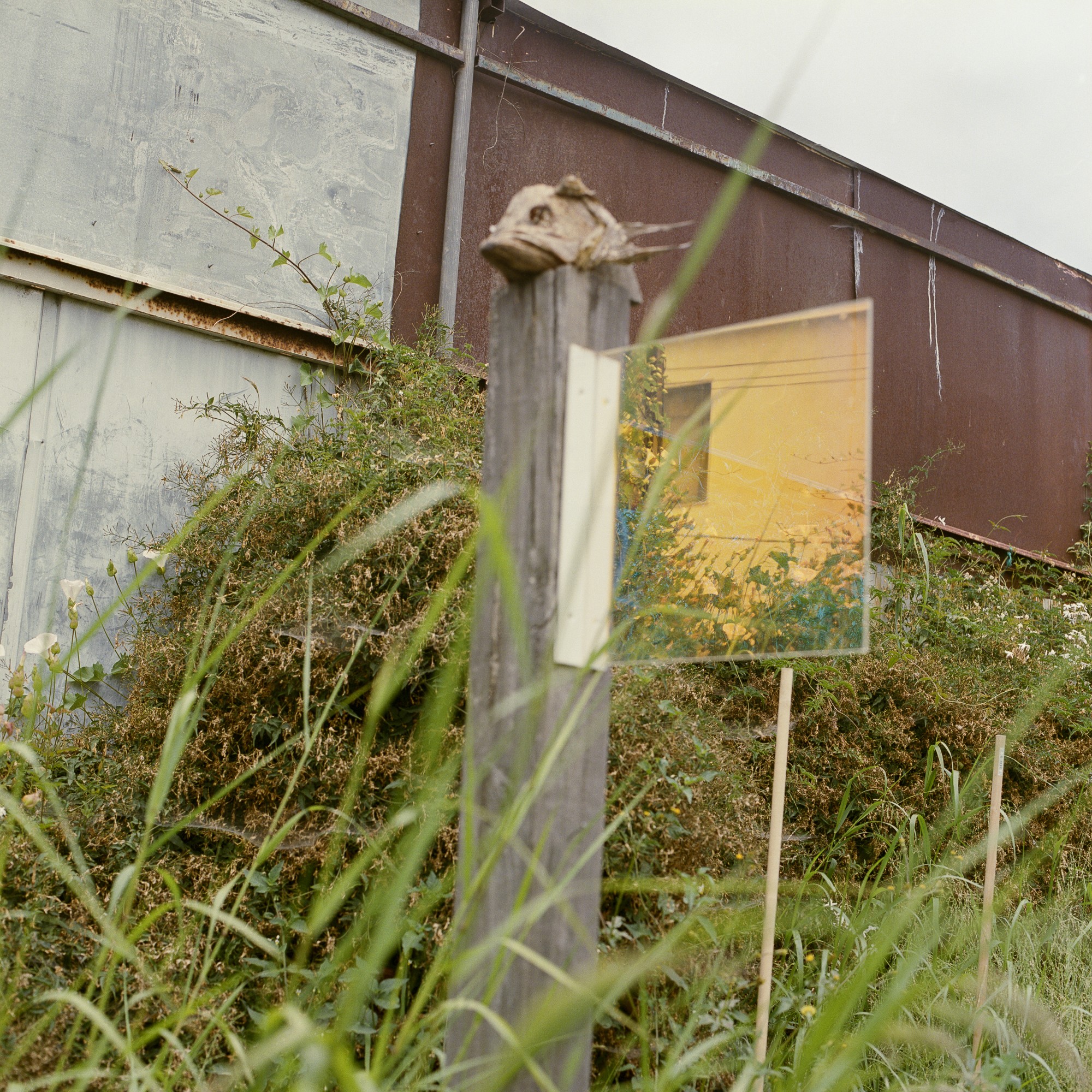 7TH AVE GARDEN WITH DAVID HORVITZ | TERREMOTO.LA