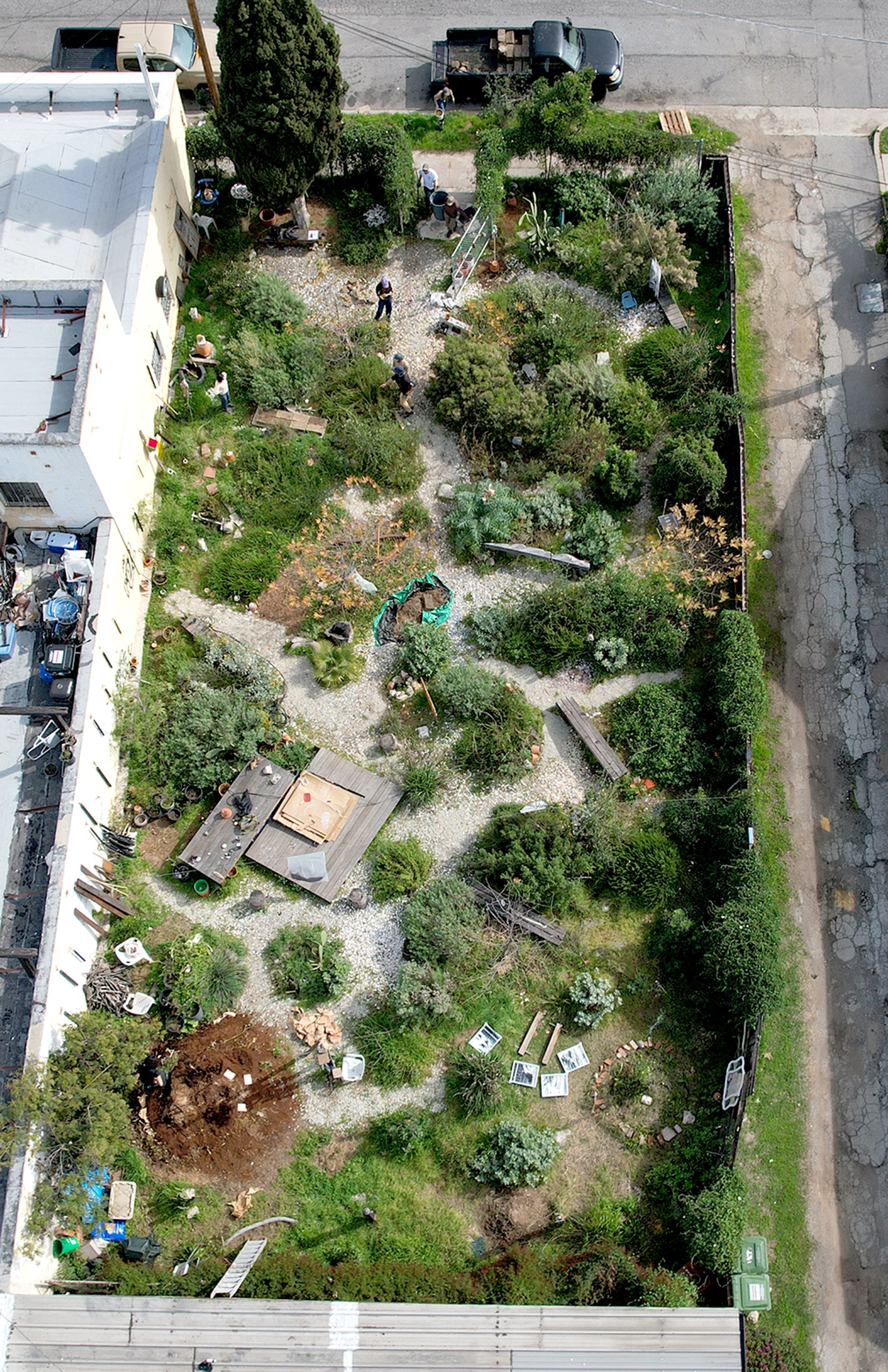 7TH AVE GARDEN WITH DAVID HORVITZ | TERREMOTO.LA