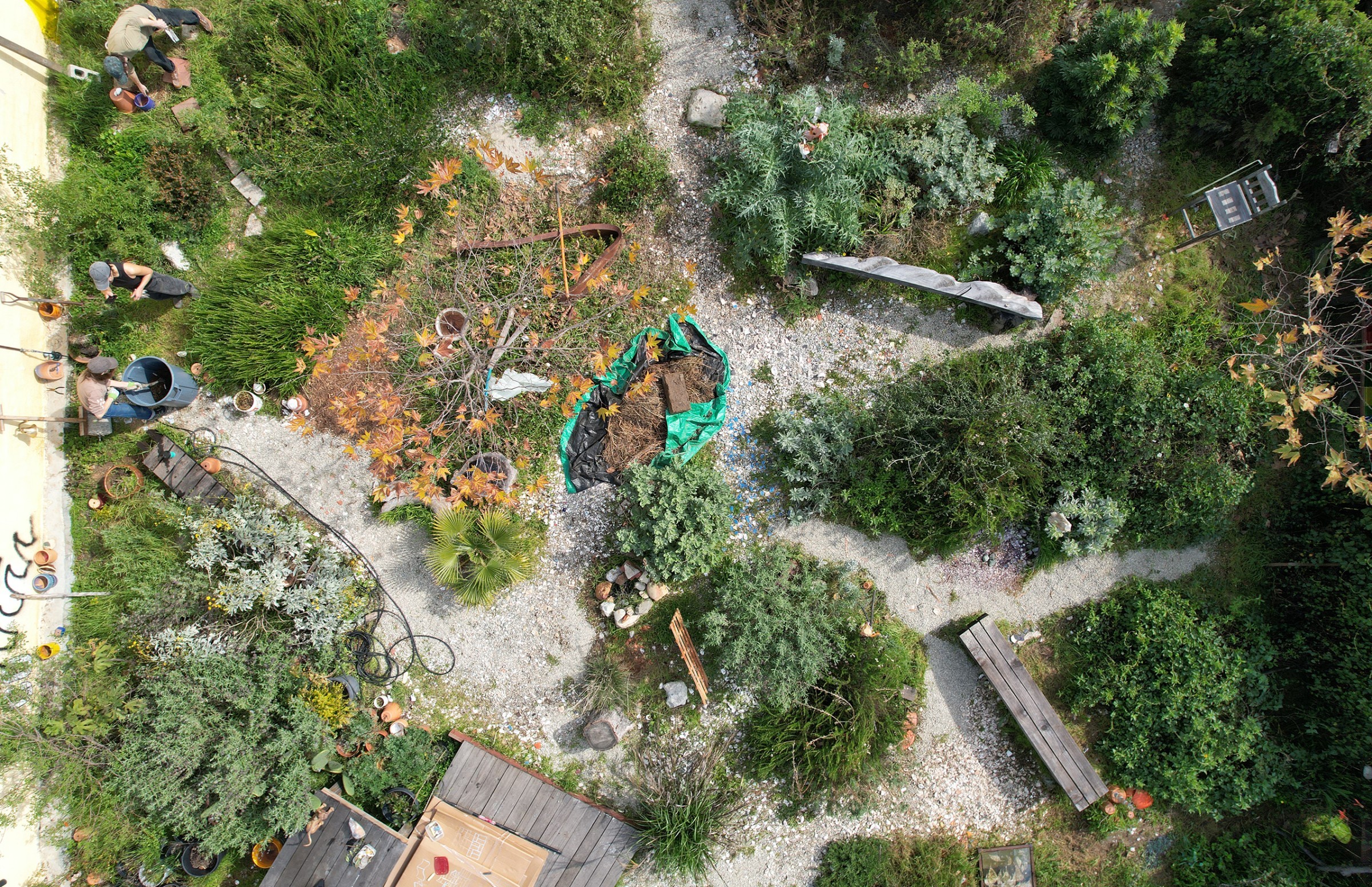 7TH AVE GARDEN WITH DAVID HORVITZ | TERREMOTO.LA