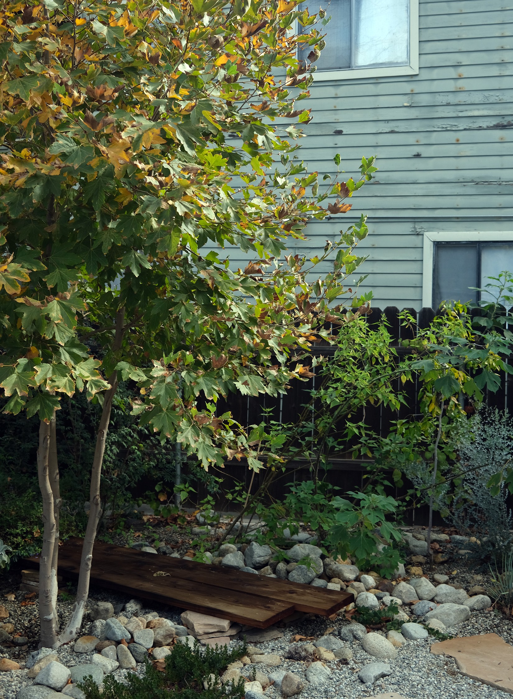 ELLEGARDEN エルレガーデン　チバユウスケ　ルード AVENUE 52 | TERREMOTO.LA